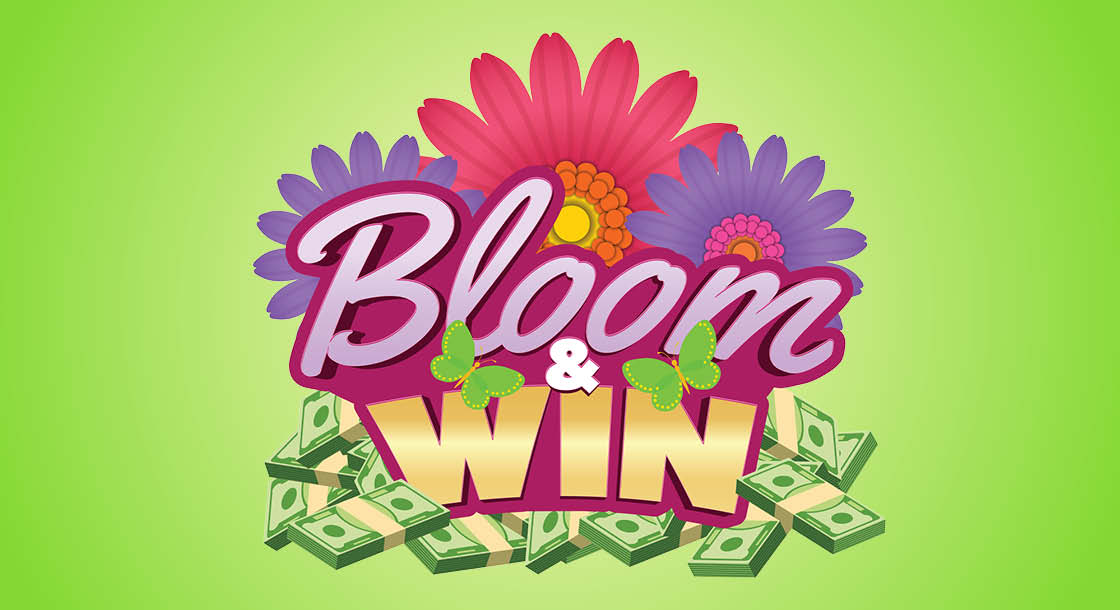 CC-64591_Bloom&Win_Graphics_1120x610
